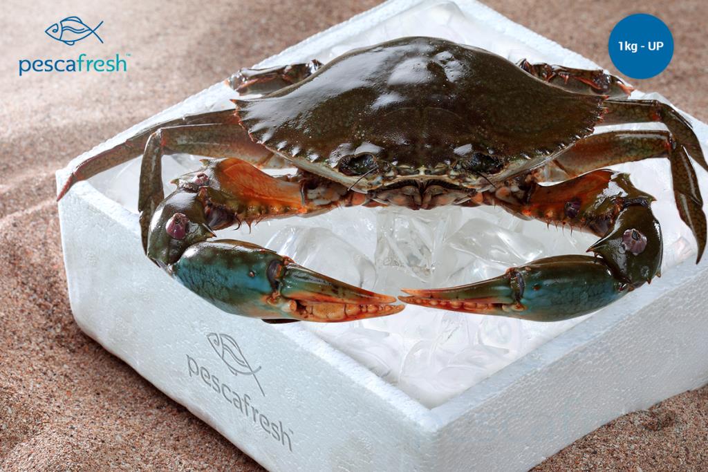 Mud Crabs Jumbo (1 kg & Up per pic)