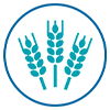 100% Veg Feed